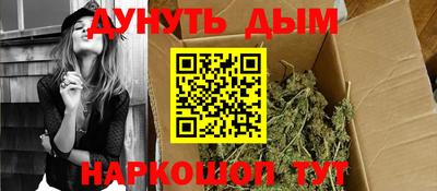 дживик Кингисепп