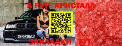 дживик Кингисепп