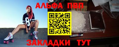 дживик Кингисепп
