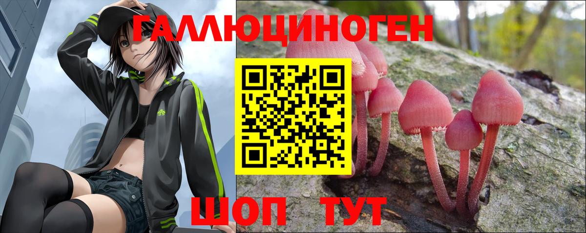 Галлюциногенные грибы GOLDEN TEACHER  Псилоцибиновые грибы Cubensis  Кохма  Вход с VPN 