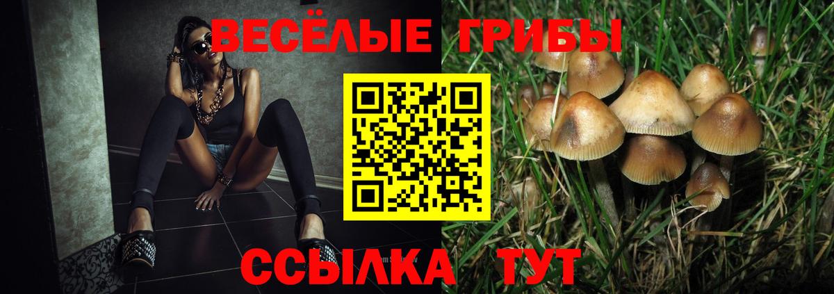 Галлюциногенные грибы GOLDEN TEACHER Кохма